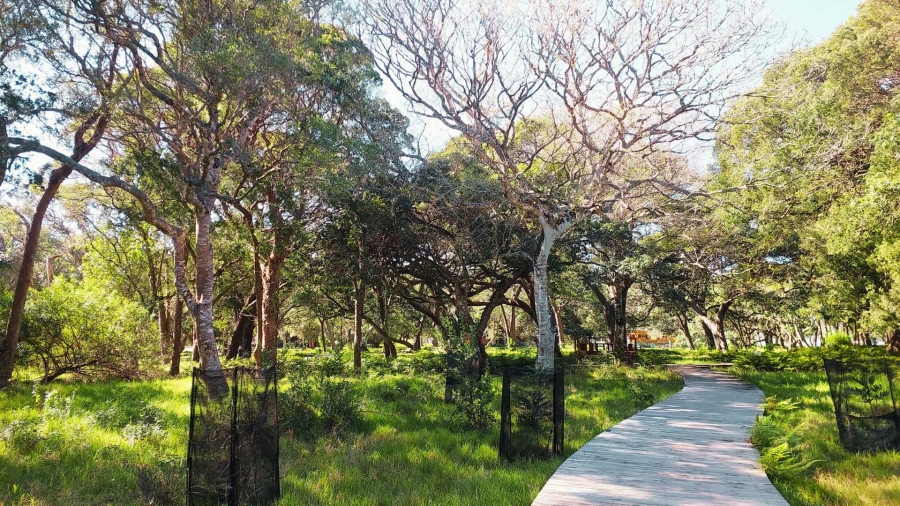 0 Bedroom Property for Sale in Brenton On Lake Western Cape